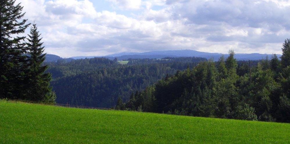 Hotel am Kurpark - Schluchtensteig